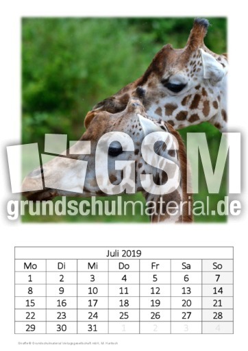 Juli_Giraffe.pdf
